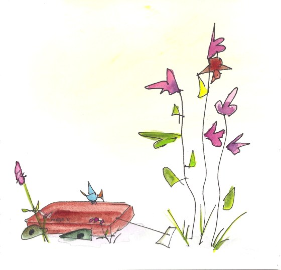 line drawing 7 col signa