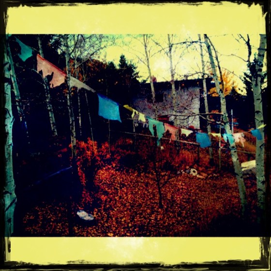 Float Fires and Flag Dragons