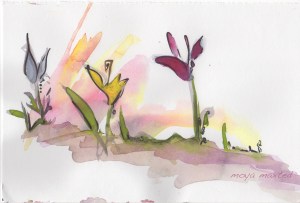 Roots and Wings  Series 15, Two 